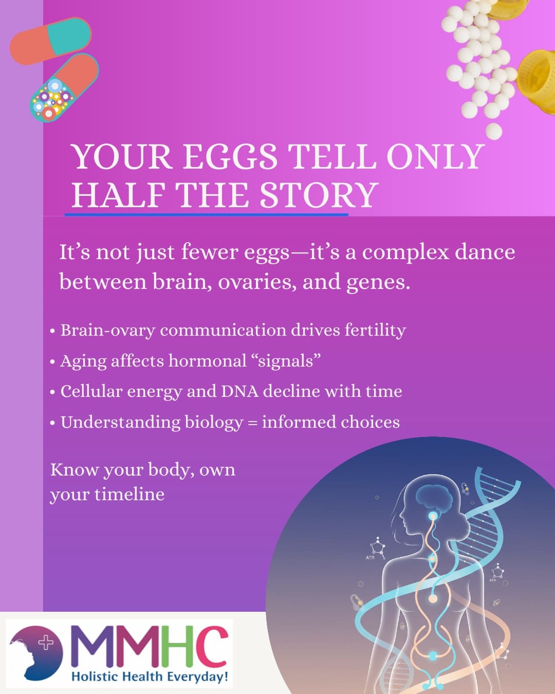 "Brain-ovary link affects hormones and egg health with age"