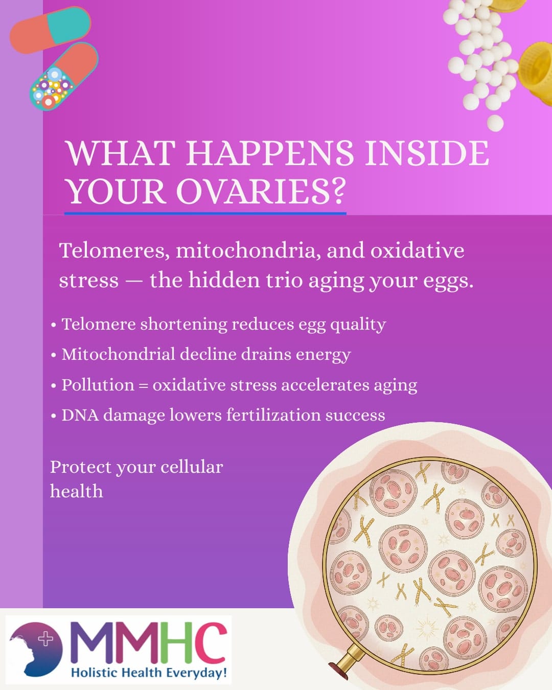 "Ovarian aging driven by cellular stress and DNA damage"